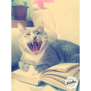 animal 4