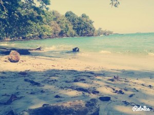 landscape 2