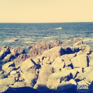 landscape 4