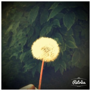 nature 3