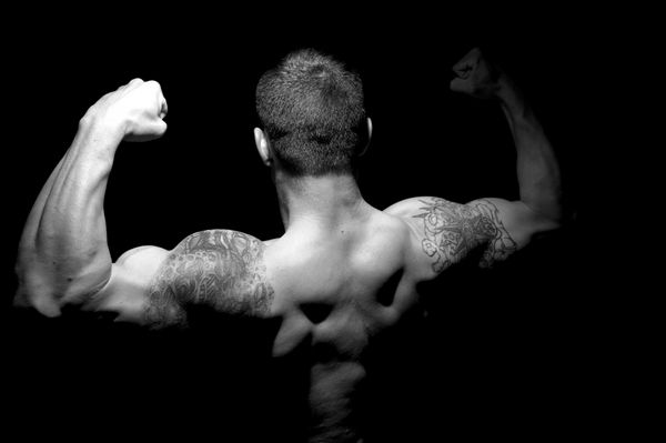 Proteinbedarf zu decken und